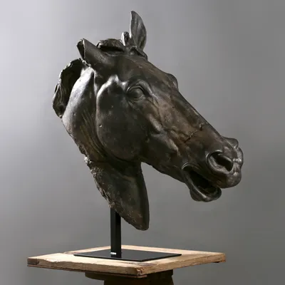  Tête de Cheval de Séléné